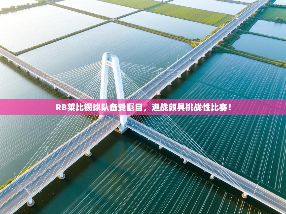 RB莱比锡球队备受瞩目，迎战颇具挑战性比赛！  第1张