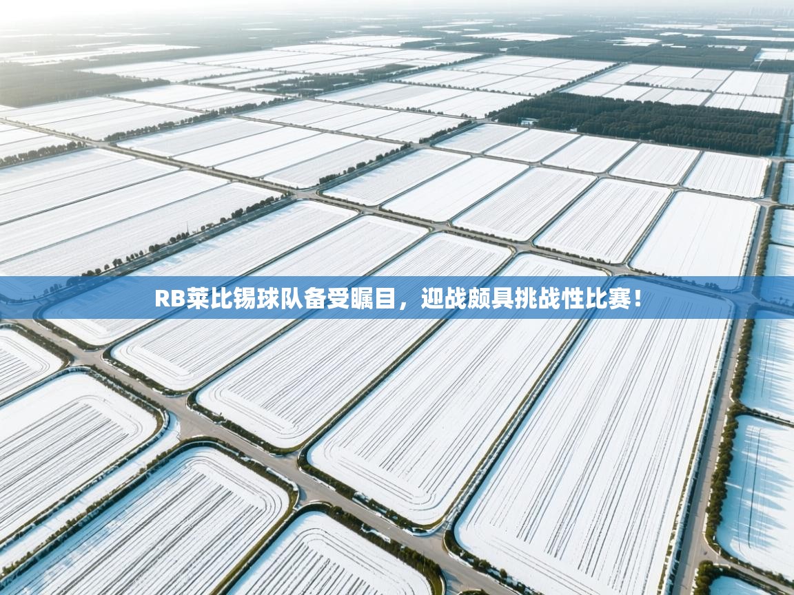 RB莱比锡球队备受瞩目，迎战颇具挑战性比赛！  第2张