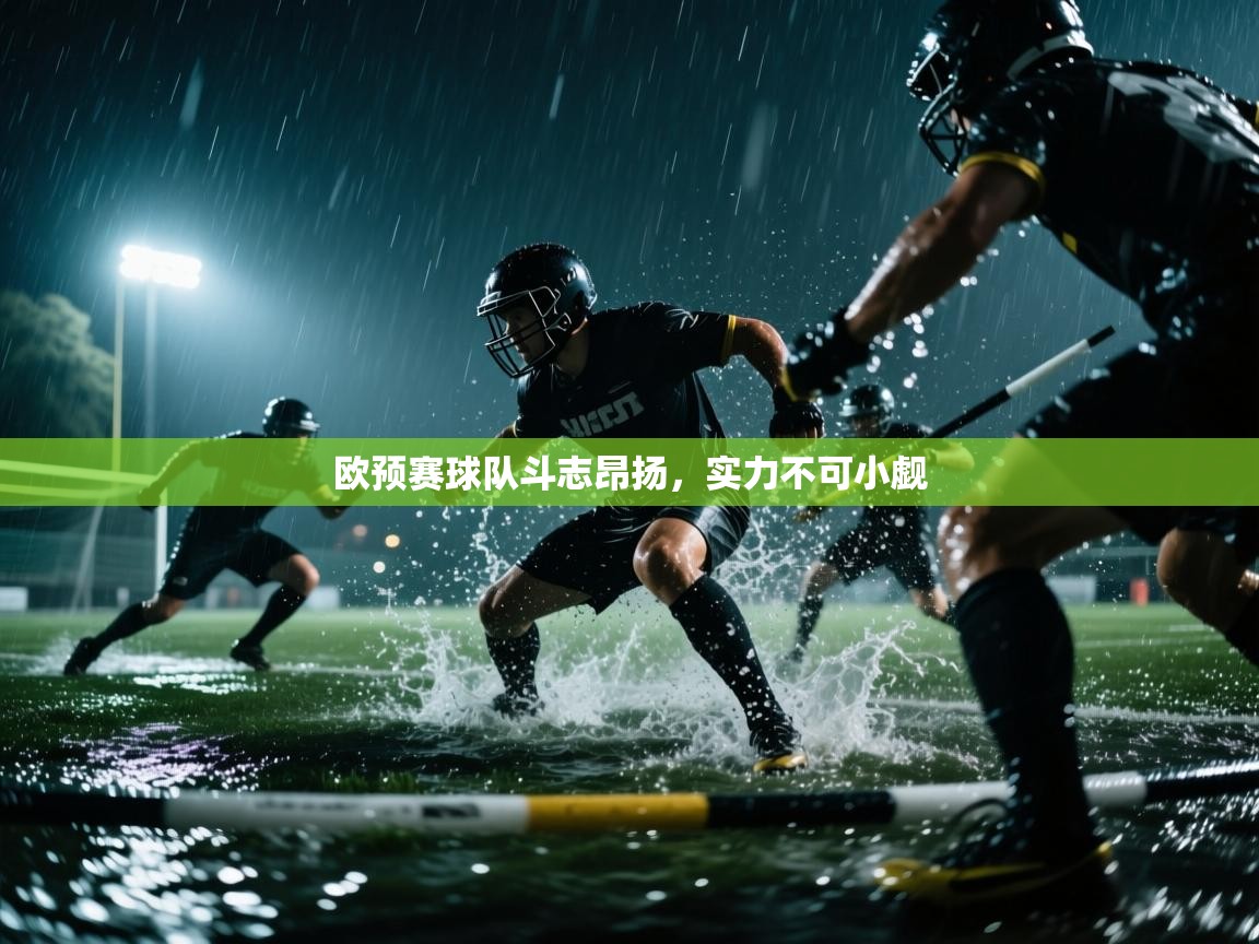 欧预赛球队斗志昂扬,实力不可小觑 第1张