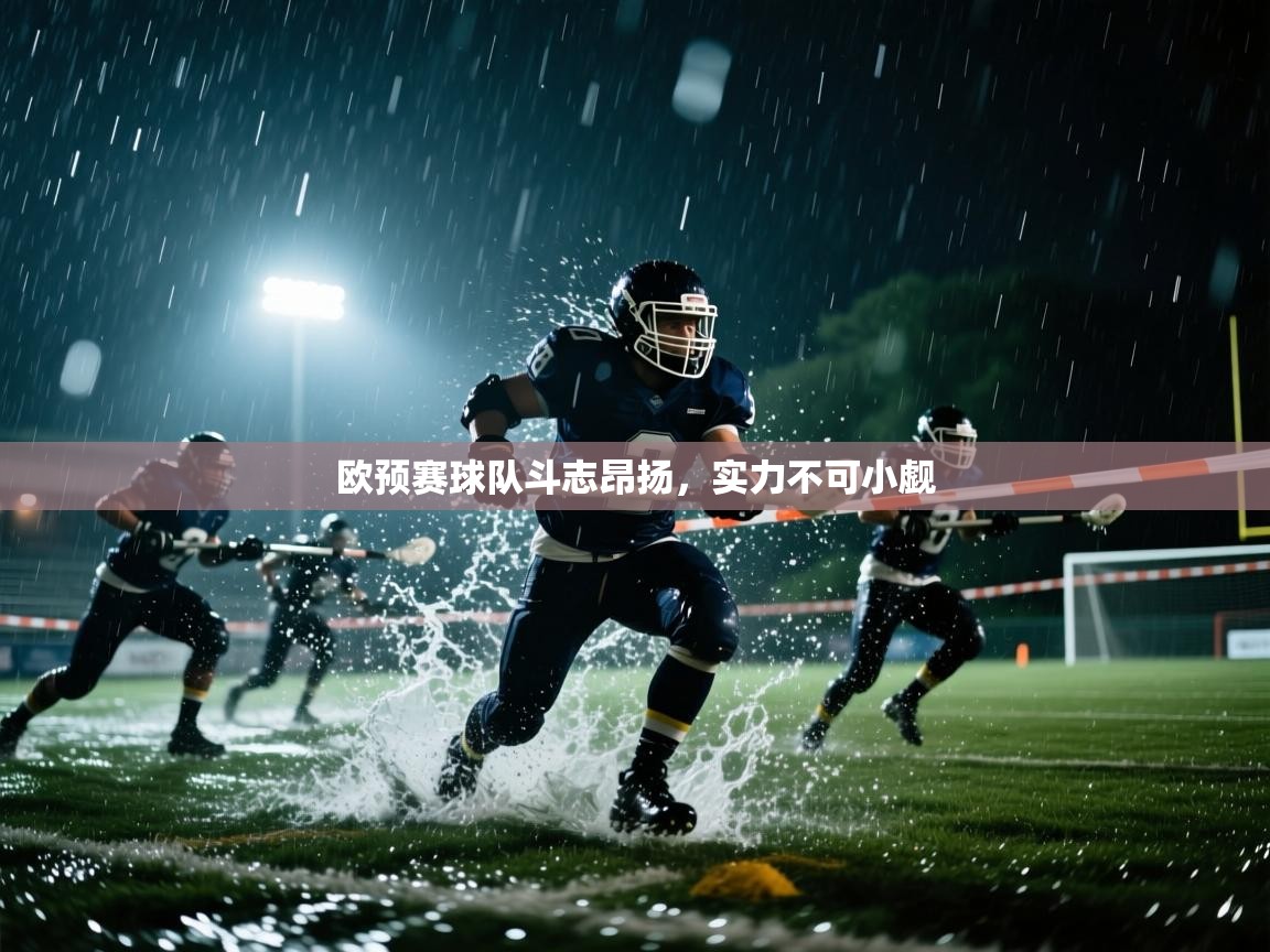 欧预赛球队斗志昂扬,实力不可小觑 第2张
