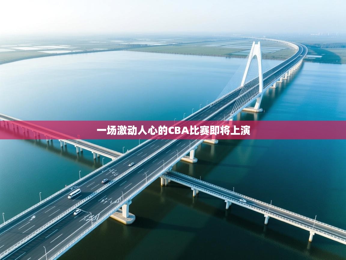 一场激动人心的CBA比赛即将上演  第1张