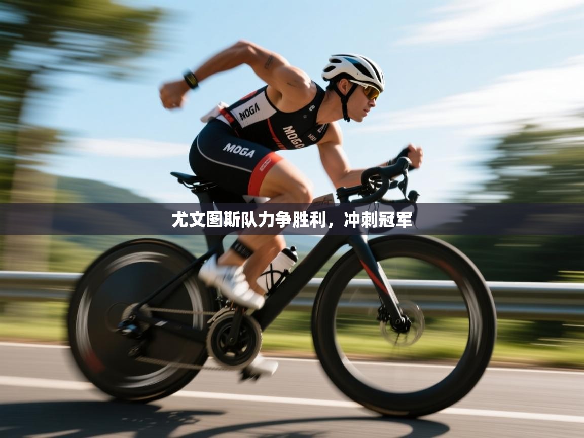 尤文图斯队力争胜利，冲刺冠军  第1张