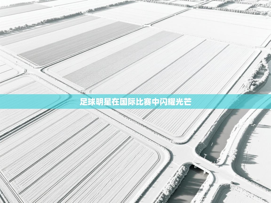 足球明星在国际比赛中闪耀光芒  第2张