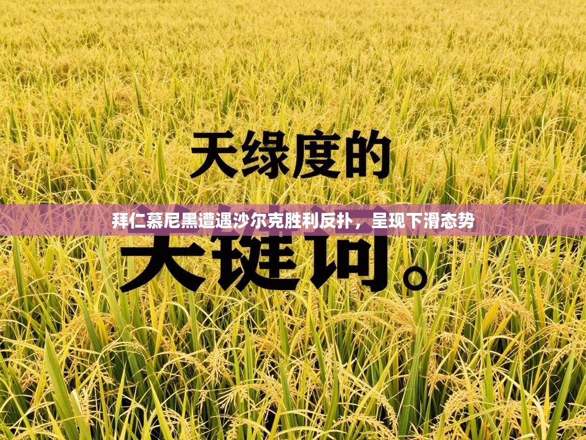 拜仁慕尼黑遭遇沙尔克胜利反扑,呈现下滑态势 第2张